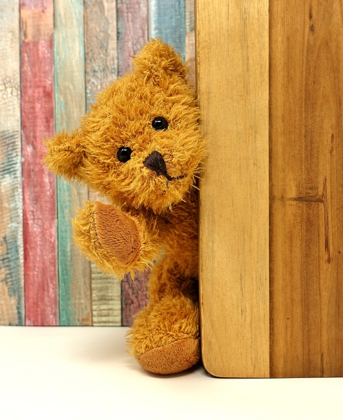 teddy-3405768_1920.jpg